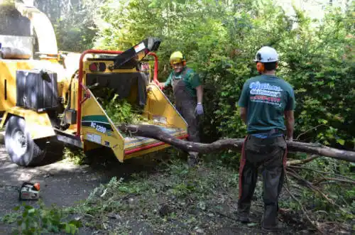 tree services New Washington